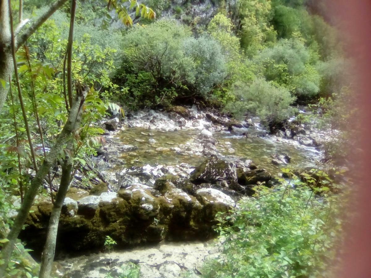 Rijeka Crnojevića Guest House Perjanik מראה חיצוני תמונה